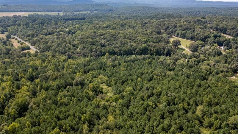 unimproved land for sale at 0 Clement Road, La Fayette, GA 30728 — photo 4