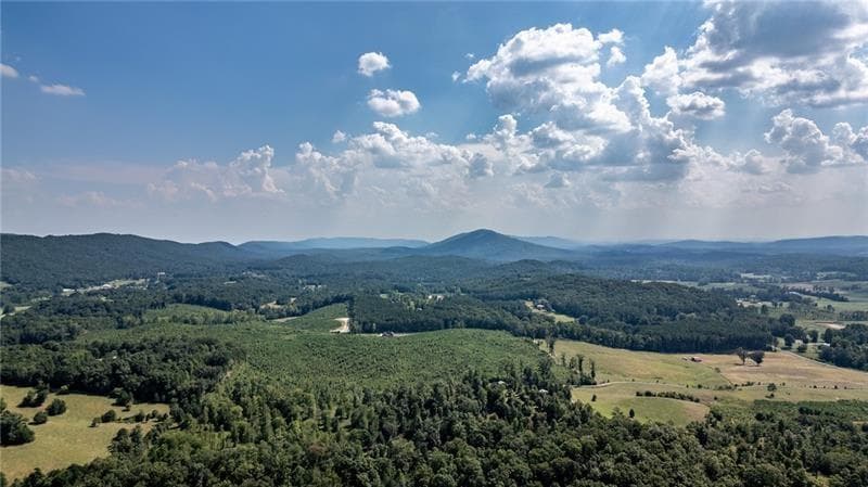 unimproved land for sale at 0 Clement Road, La Fayette, GA 30728 — photo 6