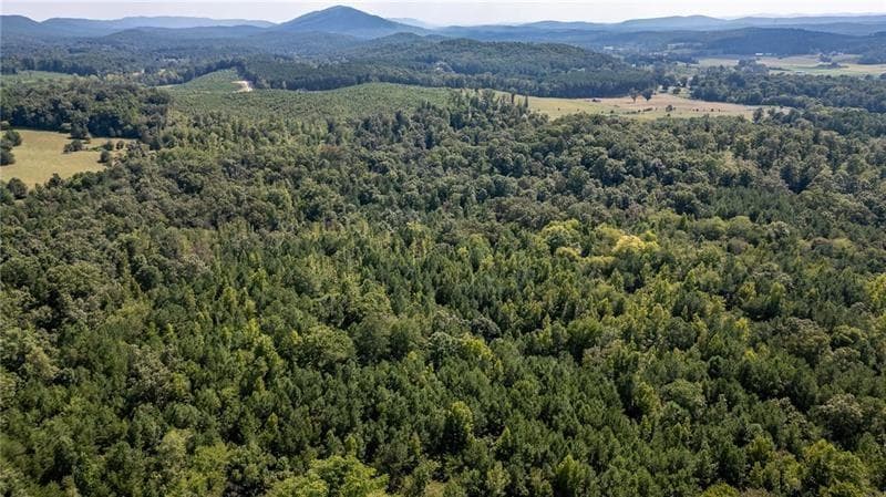 unimproved land for sale at 0 Townsend Road, La Fayette, GA 30728 — photo 6