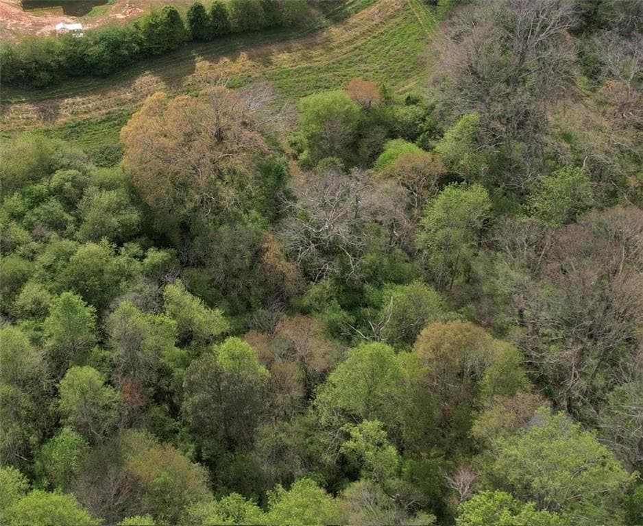 unimproved land for sale at 0000 Franklin Goldmine 7.63 acres Road, Cumming, GA 30028 — photo 2