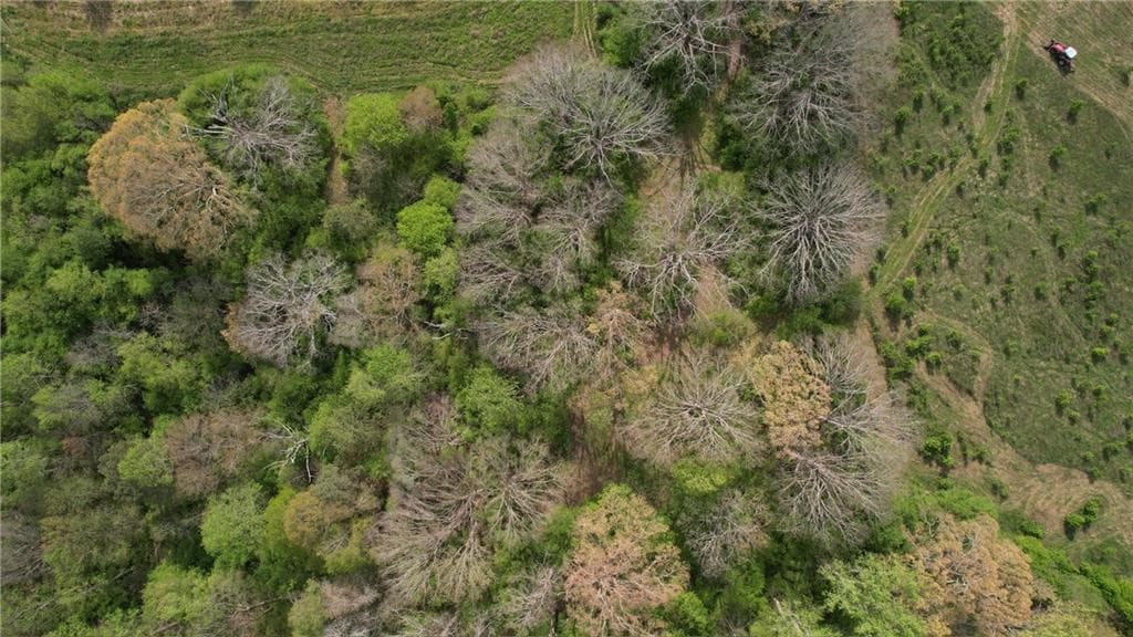 unimproved land for sale at 0000 Franklin Goldmine 7.63 acres Road, Cumming, GA 30028 — photo 5