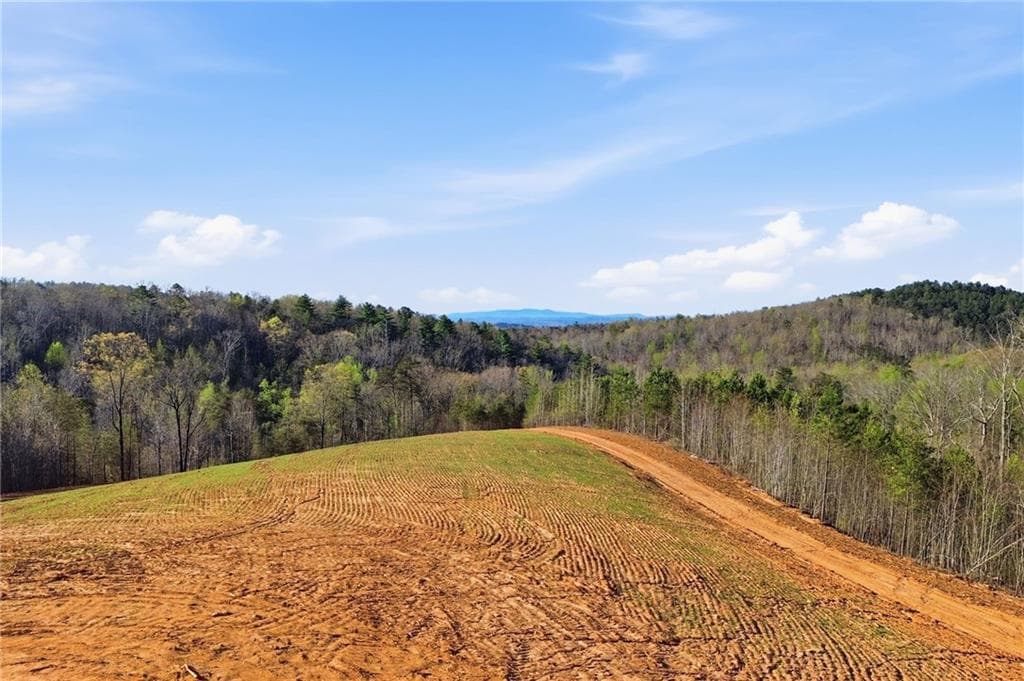 other under contract at 1927 Leeches Road, Ellijay, GA 30540 — photo 2