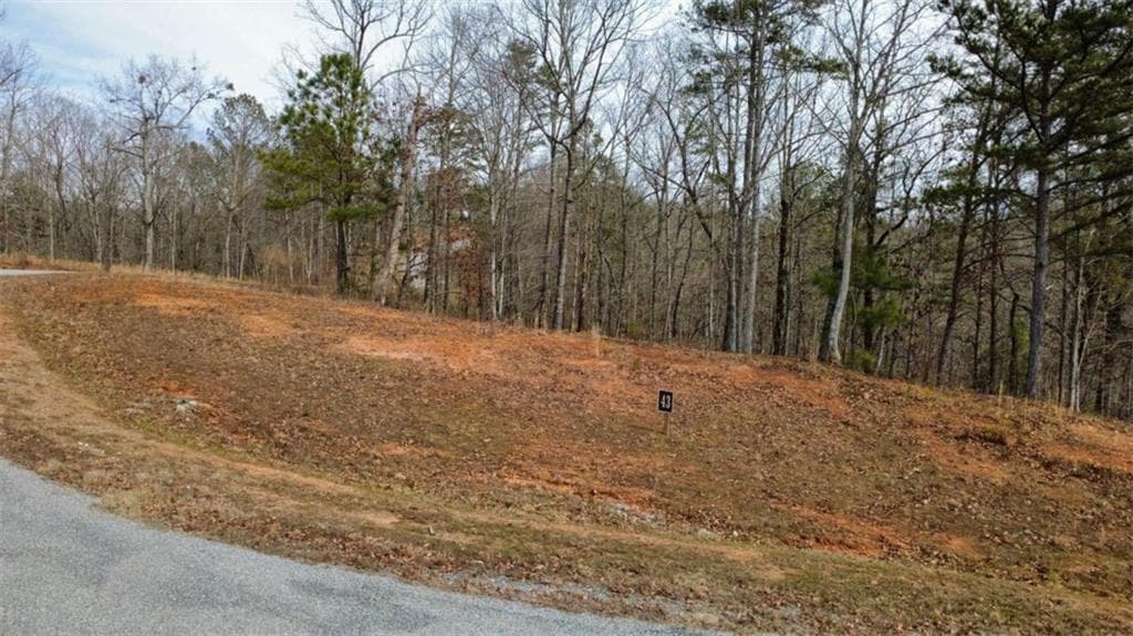single family residence for sale at LOT 43 Bucktail Way, Talking Rock, GA 30175 — photo 2