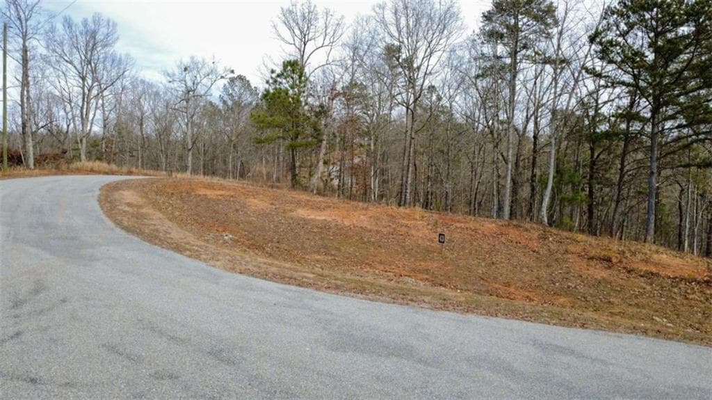 single family residence for sale at LOT 43 Bucktail Way, Talking Rock, GA 30175 — photo 3
