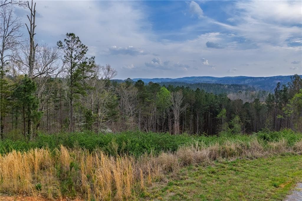 single family residence for sale at LOT 43 Bucktail Way, Talking Rock, GA 30175 — photo 7