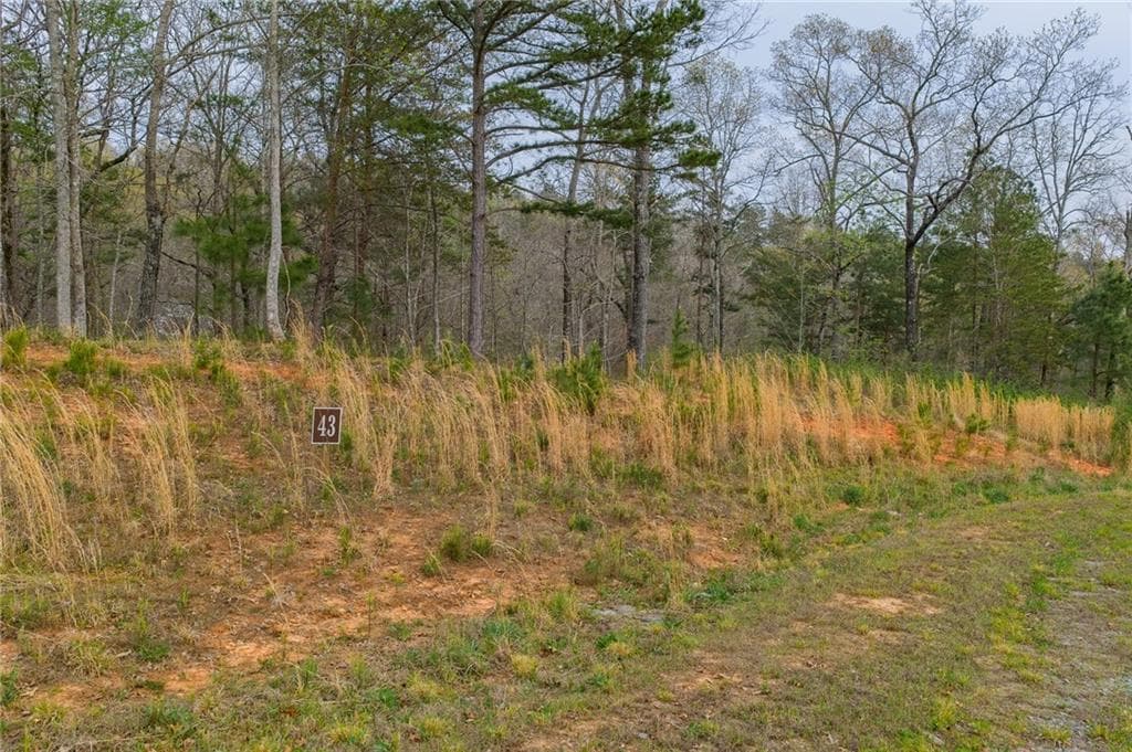 single family residence for sale at LOT 43 Bucktail Way, Talking Rock, GA 30175 — photo 9