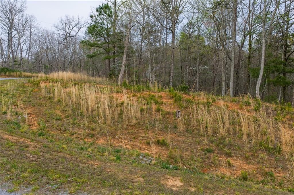 single family residence for sale at LOT 43 Bucktail Way, Talking Rock, GA 30175 — photo 10