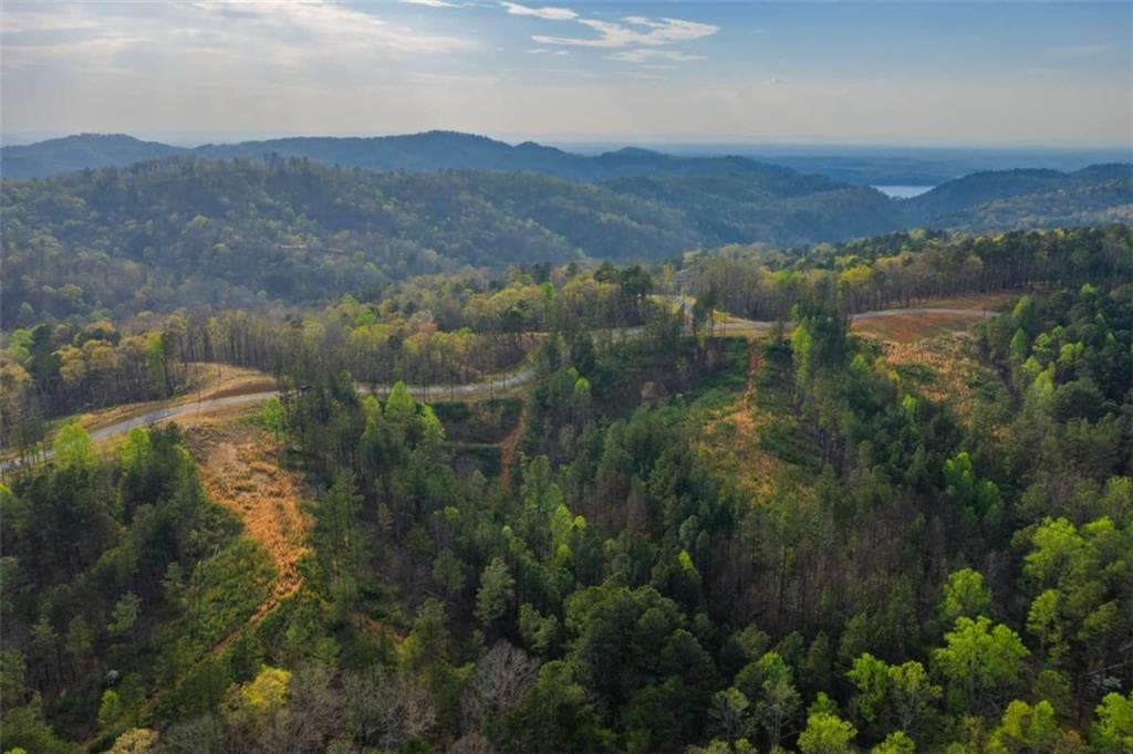 single family residence for sale at LT 226 West Vista Ridge Parkway, Talking Rock, GA 30175 — photo 4