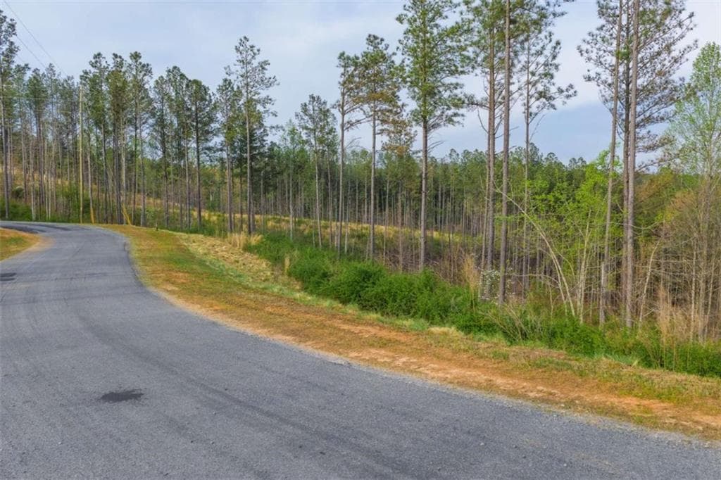 single family residence for sale at LT 226 West Vista Ridge Parkway, Talking Rock, GA 30175 — photo 6
