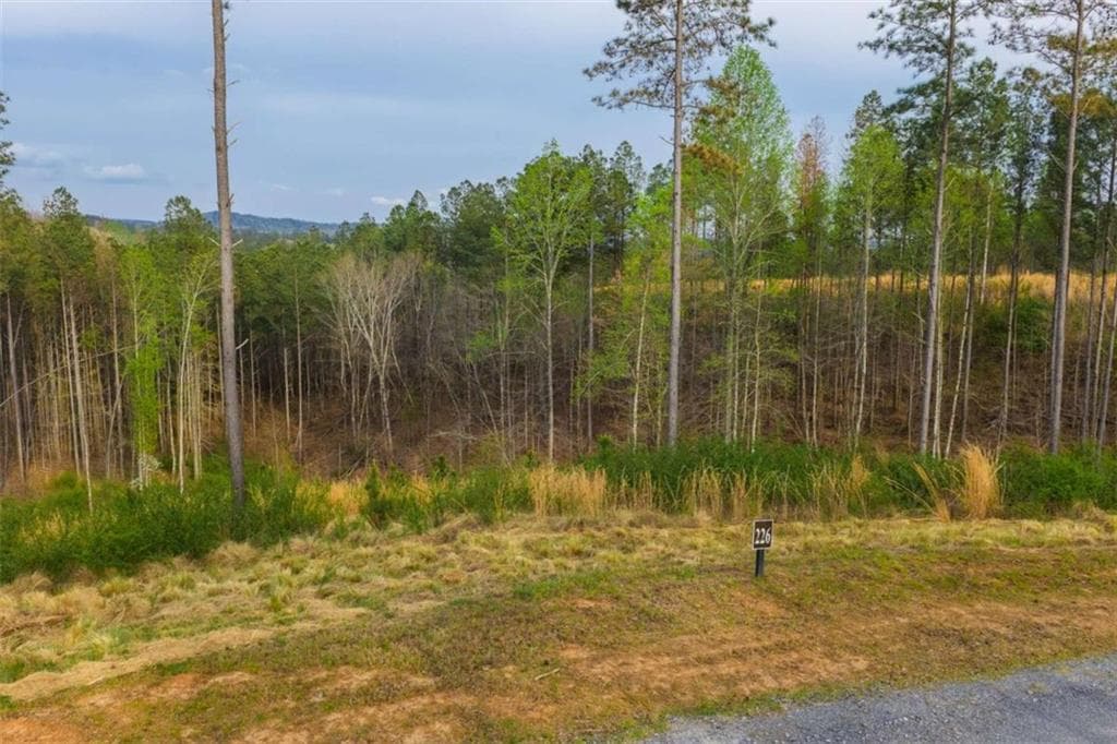 single family residence for sale at LT 226 West Vista Ridge Parkway, Talking Rock, GA 30175 — photo 7