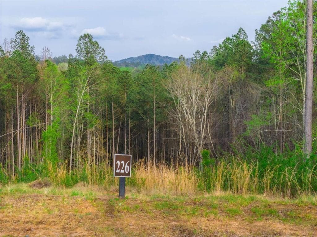 single family residence for sale at LT 226 West Vista Ridge Parkway, Talking Rock, GA 30175 — photo 8