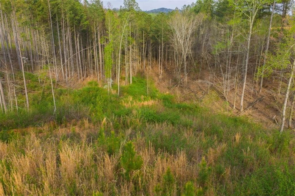 single family residence for sale at LT 226 West Vista Ridge Parkway, Talking Rock, GA 30175 — photo 9