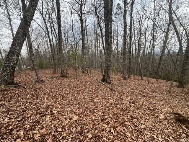 single family residence under contract at 0 Brumby Run, Blairsville, GA 30512 — photo 7