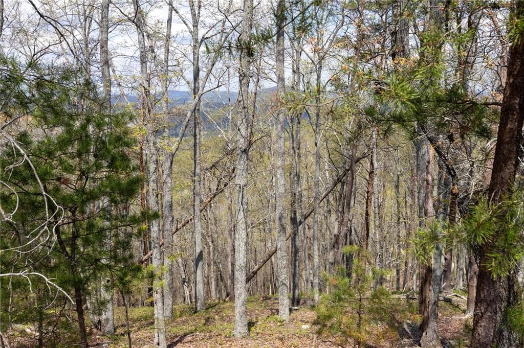 single family residence under contract at 12 Signal Mountain Circle, Cartersville, GA 30121 — photo 8