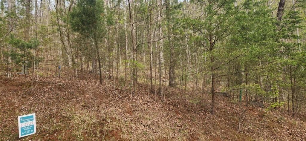 single family residence for sale at 0 Yellow Trillium (Lot 13), Clayton, GA 30525 — photo 2