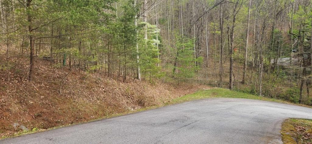 single family residence for sale at 0 Yellow Trillium (Lot 13), Clayton, GA 30525 — photo 3