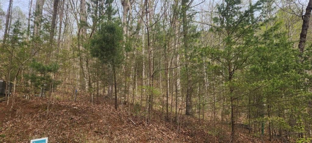 single family residence for sale at 0 Yellow Trillium (Lot 13), Clayton, GA 30525 — photo 4