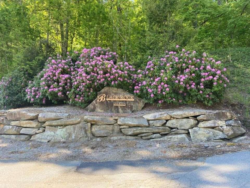 single family residence for sale at 0 Yellow Trillium (Lot 13), Clayton, GA 30525 — photo 6