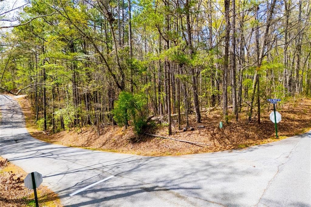 unimproved land for sale at 6156 Belle Meade Drive, Villa Rica, GA 30180 — photo 1 of 58