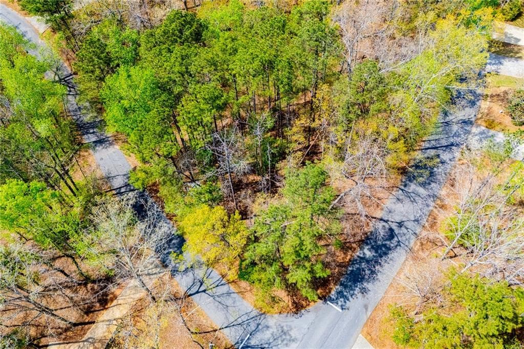 unimproved land for sale at 6156 Belle Meade Drive, Villa Rica, GA 30180 — photo 2