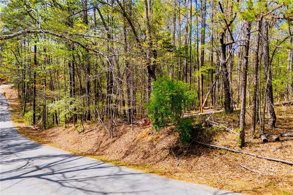 unimproved land for sale at 6156 Belle Meade Drive, Villa Rica, GA 30180 — photo 10