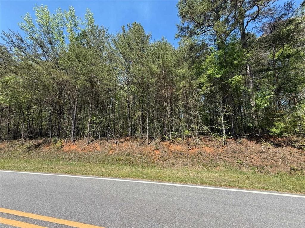 single family residence for sale at 0 Panhandler Circle (2B), Maysville, GA 30558 — photo 2