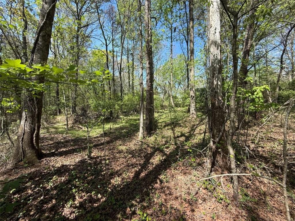 single family residence for sale at 0 Panhandler Circle (2B), Maysville, GA 30558 — photo 3