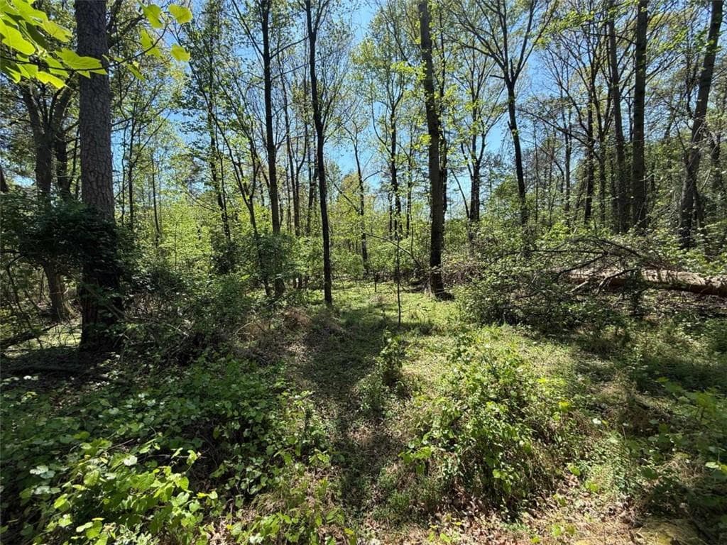 single family residence for sale at 0 Panhandler Circle (2B), Maysville, GA 30558 — photo 4