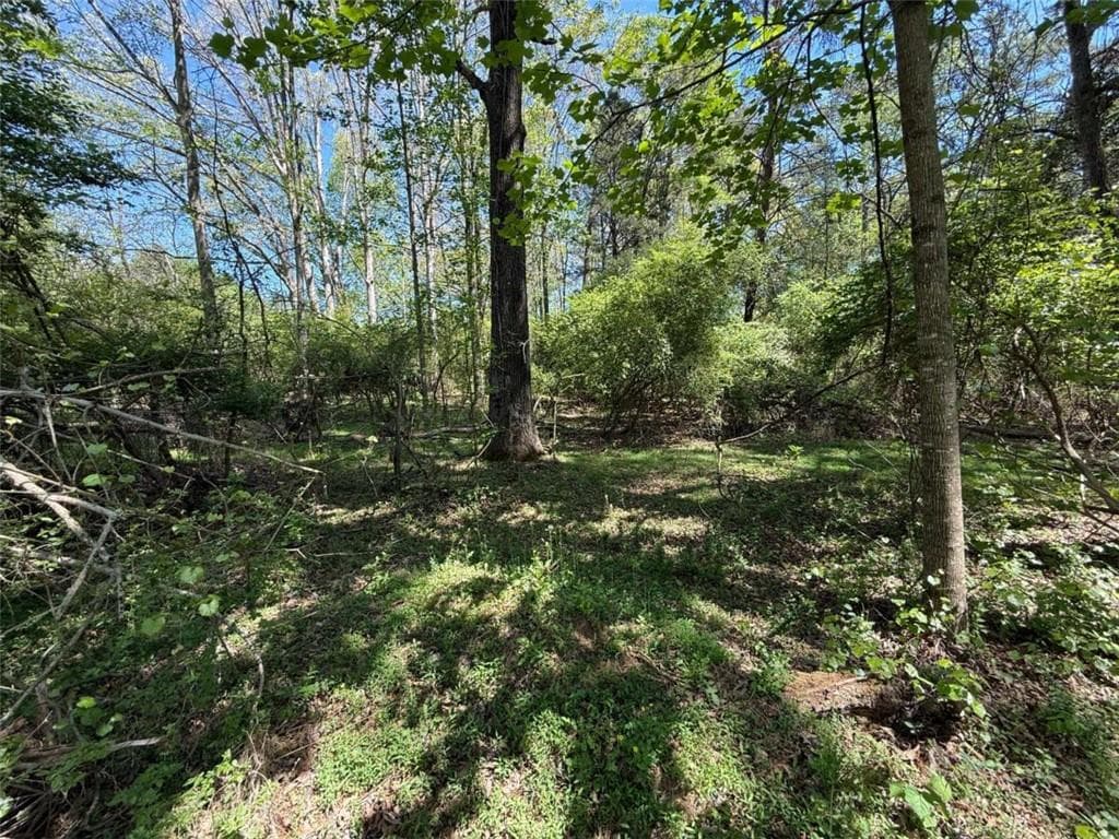 single family residence for sale at 0 Panhandler Circle (2B), Maysville, GA 30558 — photo 6
