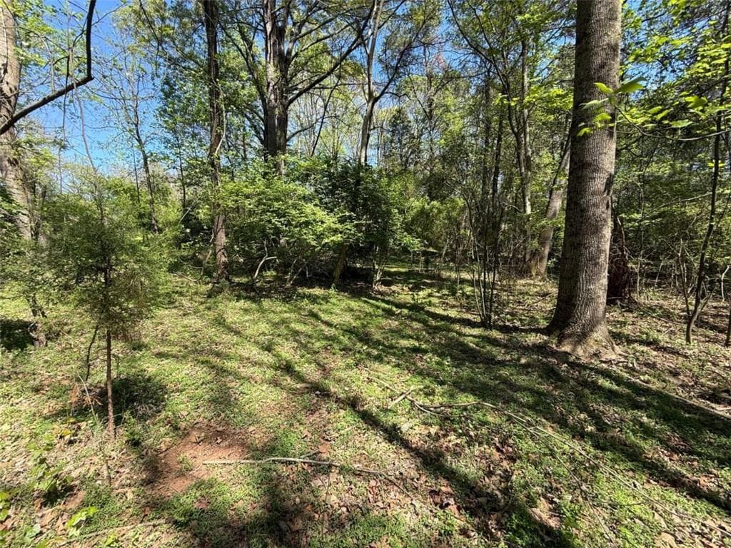 single family residence for sale at 0 Panhandler Circle (2B), Maysville, GA 30558 — photo 7