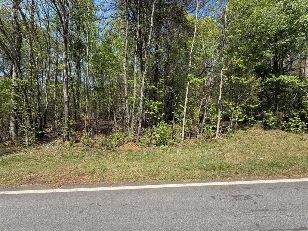 single family residence for sale at 0 Panhandler Circle (2C), Maysville, GA 30558 — photo 2