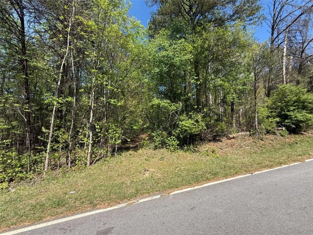 single family residence for sale at 0 Panhandler Circle (2C), Maysville, GA 30558 — photo 3