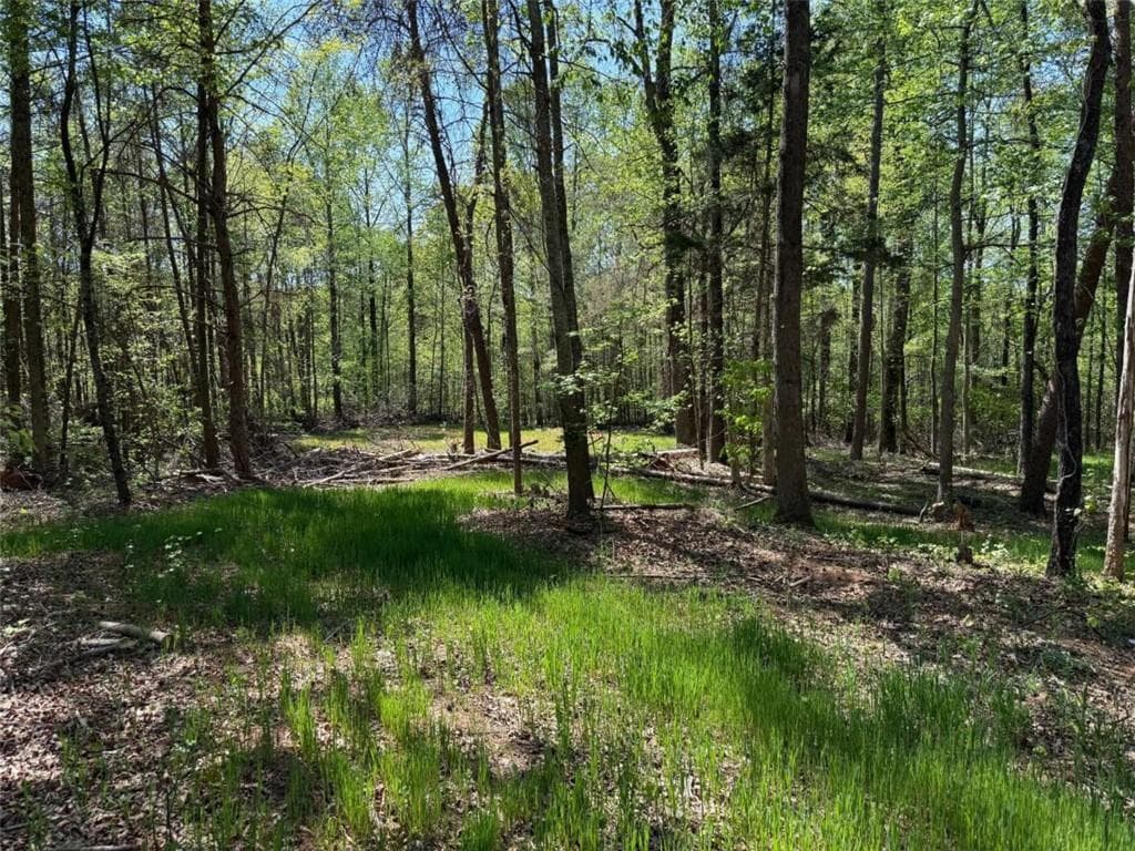single family residence for sale at 0 Panhandler Circle (2C), Maysville, GA 30558 — photo 4
