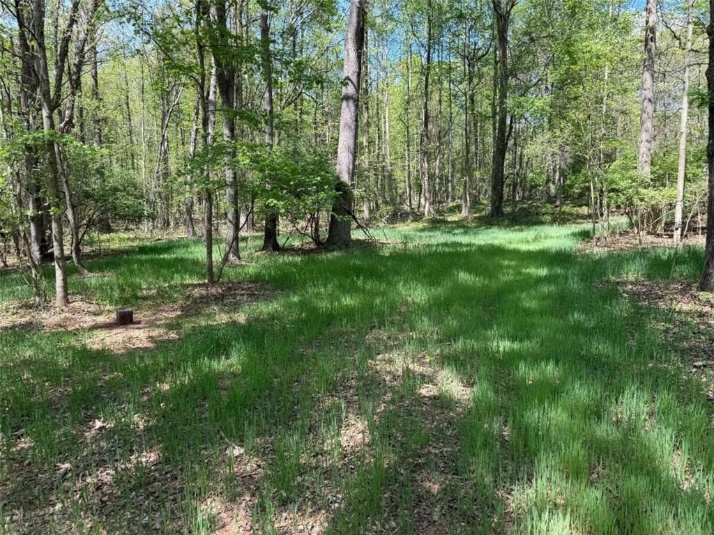 single family residence for sale at 0 Panhandler Circle (2C), Maysville, GA 30558 — photo 5
