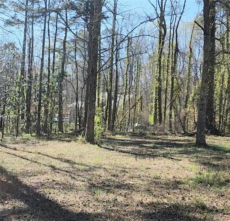other for sale at 3274 Aaron Sosebee Road, Cumming, GA 30028 — photo 5