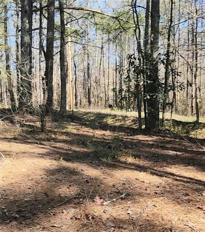 other for sale at 3274 Aaron Sosebee Road, Cumming, GA 30028 — photo 3