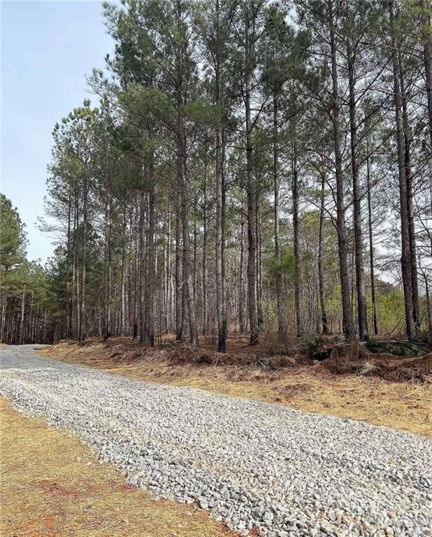 other for sale at LOT 5 Jaxon Path, Dallas, GA 30157 — photo 3