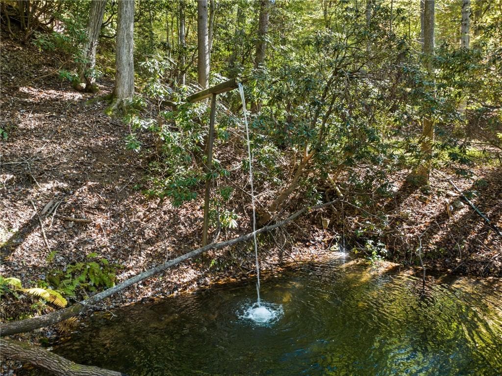 5 bedroom, 4 bathroom, 3,432 sq ft single family residence for sale at 454 High Country Drive, Morganton, GA 30560 — photo 7