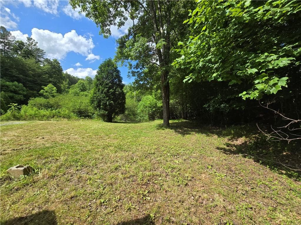 other under contract at 0 Blue Arrow Lane, Mineral Bluff, GA 30559 — photo 3
