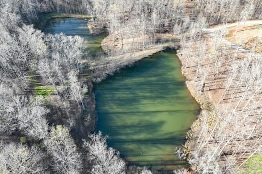 single family residence for sale at 7.39AC Turner Ridge Drive, Cleveland, GA 30528 — photo 5
