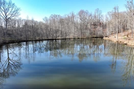 single family residence for sale at 7.39AC Turner Ridge Drive, Cleveland, GA 30528 — photo 6