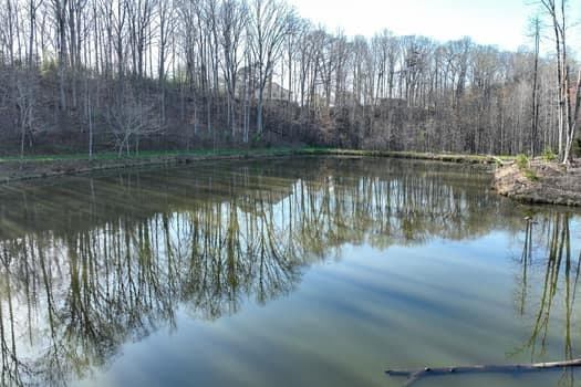 single family residence for sale at 7.39AC Turner Ridge Drive, Cleveland, GA 30528 — photo 8