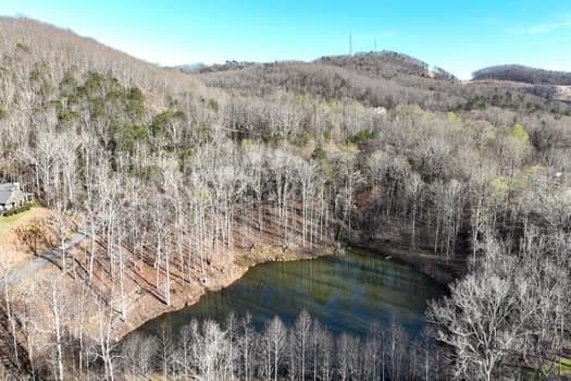 single family residence for sale at 7.39AC Turner Ridge Drive, Cleveland, GA 30528 — photo 9