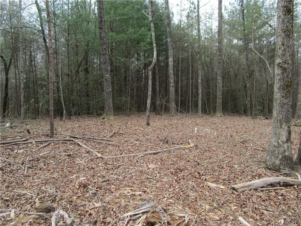 single family residence for sale at 3 AC East New Hope Road, Ellijay, GA 30536