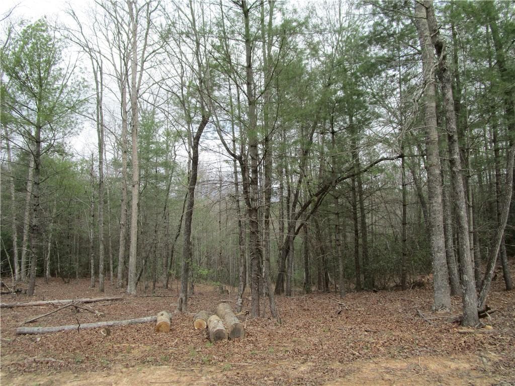 single family residence for sale at 3 AC East New Hope Road, Ellijay, GA 30536 — photo 2