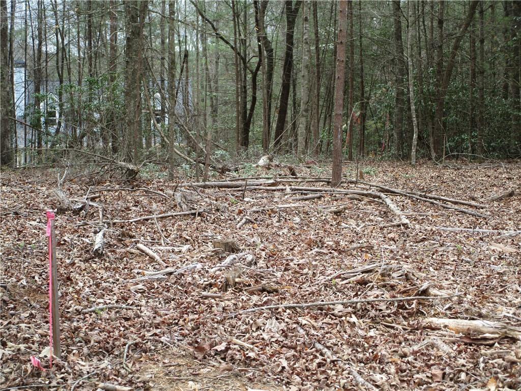 single family residence for sale at 3 AC East New Hope Road, Ellijay, GA 30536 — photo 4