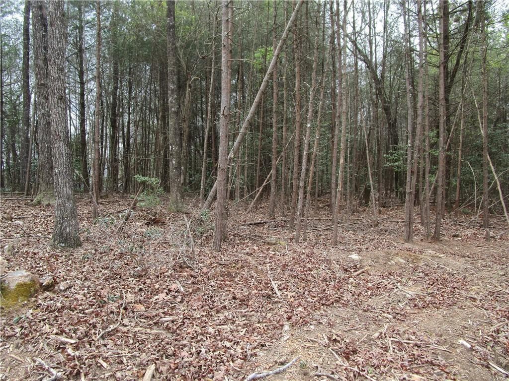 single family residence for sale at 3 AC East New Hope Road, Ellijay, GA 30536 — photo 6