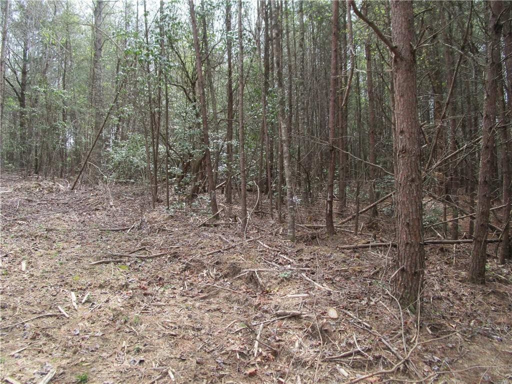 single family residence for sale at 3 AC East New Hope Road, Ellijay, GA 30536 — photo 7