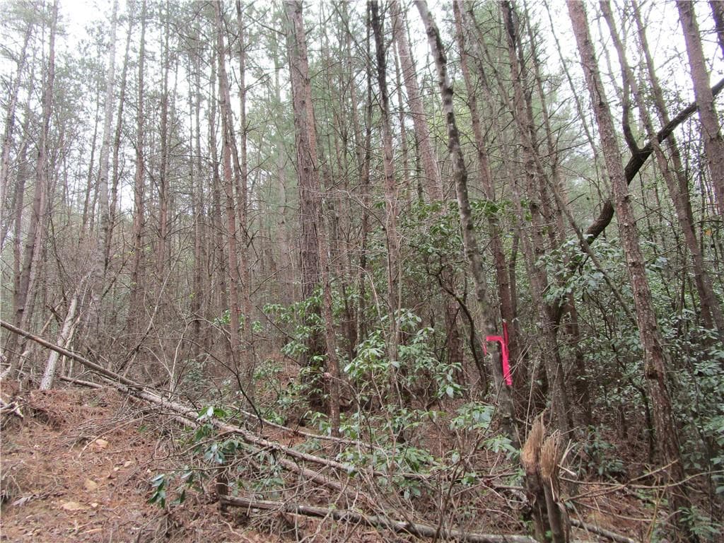 single family residence for sale at 3 AC East New Hope Road, Ellijay, GA 30536 — photo 9