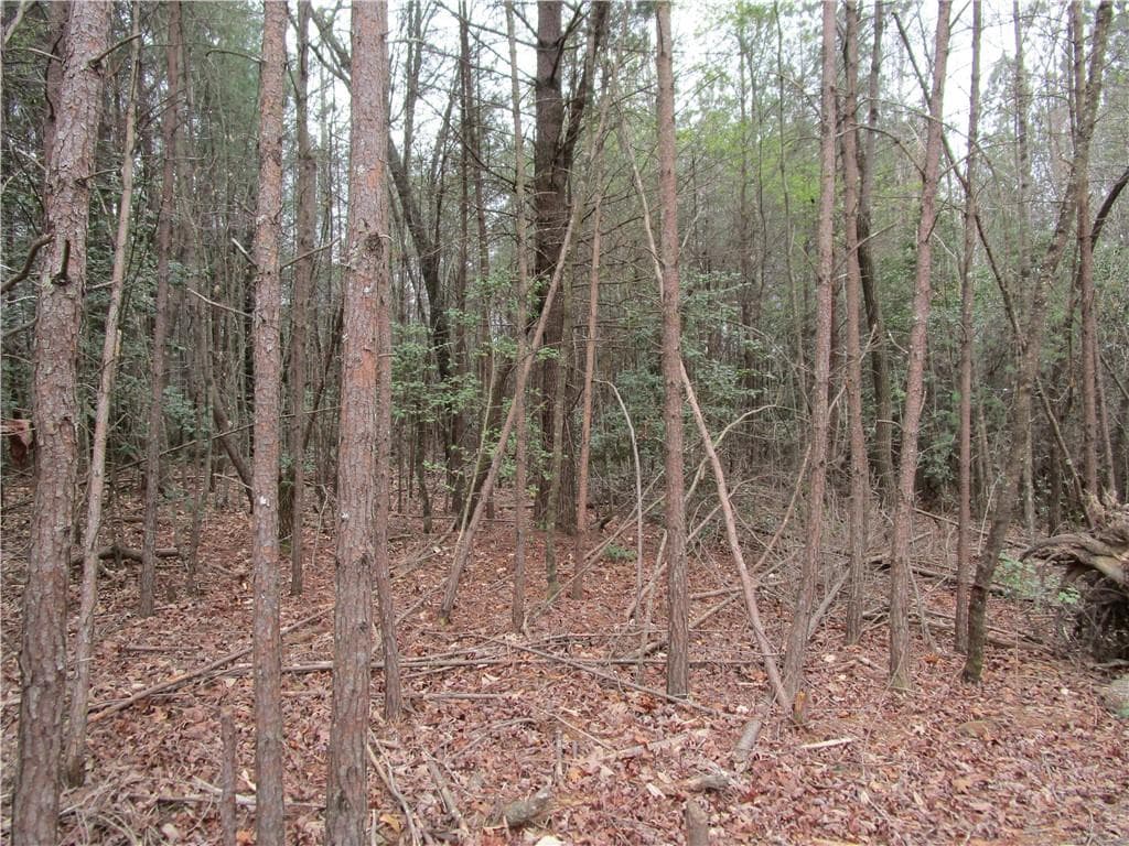 single family residence for sale at 3 AC East New Hope Road, Ellijay, GA 30536 — photo 10